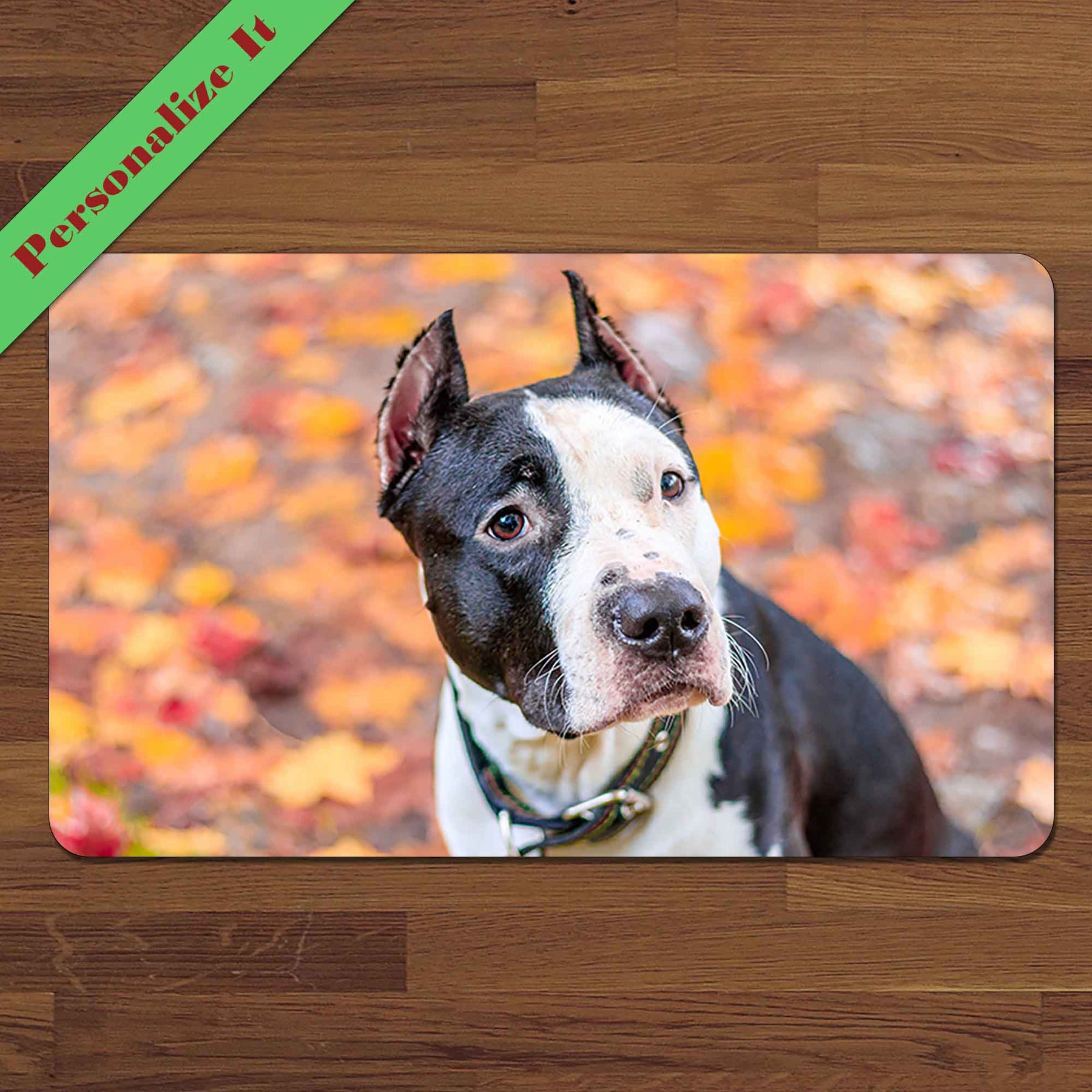 Custom Pet Portrait Dog Feeding Mat