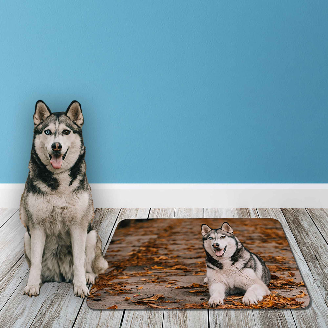 Dog Bowl Mat, Personalised Pet Bowl Mat, Customised Bowl Mat, Blue